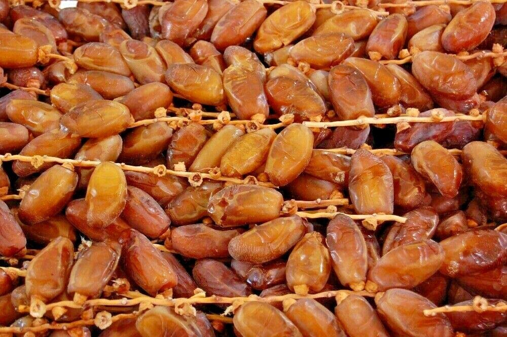 Branches Dates